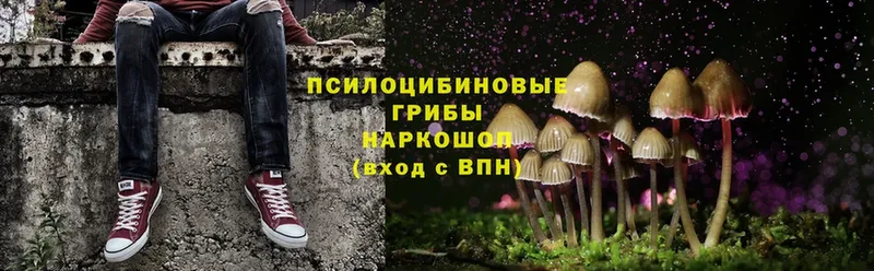 Псилоцибиновые грибы MAGIC MUSHROOMS Галич